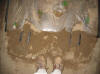 Tape Wetting Pattern
